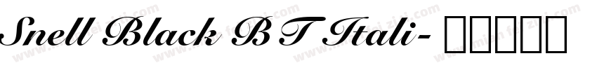 Snell Black BT Itali字体转换